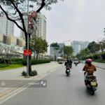 Bán biệt thự vườn đào 230m - view vườn hoa nội thất sang trọng tích sản nơi ở giới tinh hoa