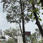 55 tỷ mặt phố tân mai ,#hoàngmai, phố đường đôi cực đẹp ,8t thang máy thông sàn ,xây chất