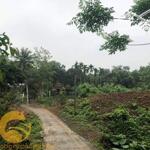 2300m2 đất sau trường cấp 2 tân long