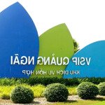 đất nền khu dịch vụ hỗn hợp vsip quảng ngãi 132m2 giá cực rẻ