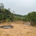 Bán 825m2 đất thuộc xã cao sơn, lương sơn, giá rẻ nhất khu vực