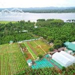 Chính chủ bán lô đất 10.000m2 đã có sổ và giấy phép xây dựng