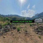 đất diện tích lớn khan hiếm 4647 m2 trần phú phủ hồng mặt tiền biển không che, giá chỉ 38 triệu/m2