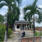 Hàng thơm giá rẻ nhà bình chánh 1063m2 full thổ cư