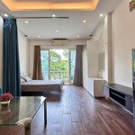 Cho thuê căn hộ quận 3 đường nguyễn thị minh khai gần công viên lê văn tám, dinh độc lập rộng 40m2