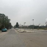 Bán đất nền 67.5m2, 126 triệu/m2 đấu giá cây sung đan phượng, hà nội