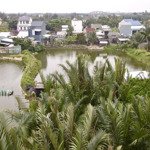 Vừa rẻ vừa đẹp! chỉ 1ty3x sở hữu lô đất view dừa sau nhà, đường dx17 cẩm thanh, khí hậu trong lành