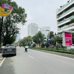 Mặt phố lạc long quân kinh doanh siêu đỉnh, phố vip quận tây hồ