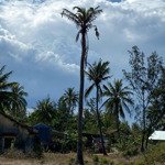 Cần bán 1100mv view biển có 300 thổ cư biển bình nam gần viperland nam hội an