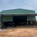 Cho thuê xưởng mới xây 1329m2 phường thái hoà, tân uyên, bình dương