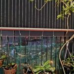 Chuyển việc bán gấp chung cư hope residence, phúc đồng, long biên 75m2, chỉ 3,75 tỷ
