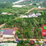 570tr/198m2(5x39m) đất xã mê linh cách đà lạt 6km, đất đẹp bằng, cách dt725 3km, sẵn sổ, sẵn thổ cư