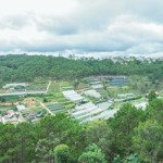 Nhà kqh trần quang diệu view thung lũng rừng thông 141m2 đường oto tránh nhau