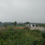 541m2 đất khai hoang bám suối tại yên bài tài chính chỉ hơn 1 tỷ 0988908583