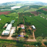 Bán đất thổ cư view đẹp thôn phú cao, xã tà hine, huyện đức trọng, lâm đồng