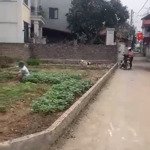 Cần bán mảnh đất phân lô đẹp quang tiến-sóc sơn-hà nội: 0986862954.