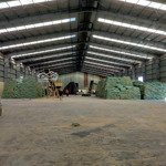 Cho thuê kho xưởng mt quốc lộ 62 thạnh hóa, long an , diện tích linh hoạt, giá thuê: 62k/m2