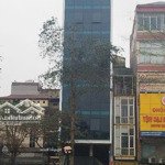 Hàng hiếm mp văn cao 10tầng x 101.2m, mt 6m vỉa hè đá bóng, sổ đỏ nở hậu dòng tiền khủng chỉ 95tỷ