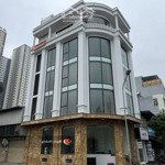 Góc 2 mặt tiền lũy bán bích, p. phú thọ hòa, tân phú - 9x24m - 5 tầng - hđt: 110tr/th - giá 32 tỷ