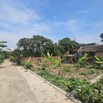 Một lô cách trục 301 chỉ 200m vuông vắn, diện tích 72m2 giá đầu tư 480tr đón sóng bđs tràng duệ 3