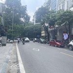 Gấp gấp gấp - mặt phố tuệ tĩnh - ngay sát ngã tư phố huế. gpxd 8 tầng + 1 hầm !