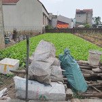 Bán đất chính chủ tại thường tín, hà nội
