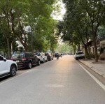 Tuyệt phẩm biệt thự kđt dịch vọng thành thái, 250m2 lô góc, đẹp nhất khu