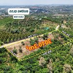 đất đẹp 3010m² tiếp giáp mặt đường hơn 100m, phù hợp làm phân lô, gần đường ql55