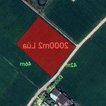 Bán đất lúa chuyển thổ phân lô hai mặt tiền giá 2,4 tỷ