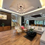 Cho thuê bt 4pn 5vs tại bùi tá hán, giá thỏa thuận, 210m2, q.ngũ hành sơn, đn hàng hot uy tín