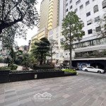 Siêu phẩm liền kề vip ngay sau đại sứ quán mỹ ngõ ô tô tránh đối diện tttm giá 32 tỷ