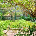 [ 323m² mini nhà vườn - gần biển phạm văn đồng ] * ngang 16m * giá : 12 tỷ