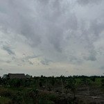Bán gấp mt phan văn đáng, khu tây hồ phú hữu nhơn trạch, giá rẻ 4tr/m2 sr chính chủ. gọi ngay 24/24