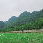 Bán đất 3200m2 tại xã phú thành, lạc thủy, hòa bình, giá 1,4 tỷ nhanh tay sở hữu ngay