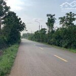 Bán đất 2 mẫu xà bang châu đức – mặt tiền gần 300m, có 300m² thổ cư, giá chỉ 16 tỷ – cơ hội đầu tư hiếm có!