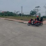 Bán đất tại phố hợp hòa, anh dũng, dương kinh, hải phòng, 3,96 tỷ, 132m2, hàng hiếm tại giá tốt