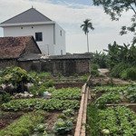 ô tô tránh đỗ cổng, gần hồ, nhà văn hoá, trung tâm phố sầm uất, mặt ngõ.
đất thổ cư dt 40m, mt 6,8