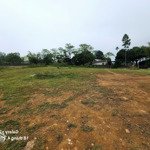 Bán đất tại đông xuân, quốc oai, hà nội, giá thỏa thuận, 2000m2, mặt tiền 50m
