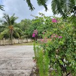 Bán nhà nghỉ homestay 3 sào ở biển lagi, bình thuận giá rẻ