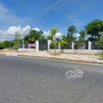 Cần bán 866m2 cây lâu năm mặt tiền k8 cam hải đông cam lâm giá 20 triệu / m2
