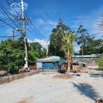 Bán đất tại trần hưng đạo, dương tơ, phú quốc, 36 triệu vnd, 10000m2