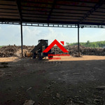 Cho thuê xưởng cưa xẻ và viên nén gỗ tại chơn thành – bình phước | 70.000m² | xưởng 30.000m² | liên hệ: chothuexuongmiennam.com - 0366632092