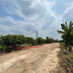 Ngộp lô góc 2 mt, cách mt nhựa nguyễn văn linh 150m, có sẵn vườn nhãn với dt 3000m2, giá chỉ 1tỷ775