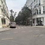Bán bt louis city, 28,6 tỷ, 98m2, 7pn, 4wc, giá tốt