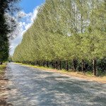 Chính chủ bán lô đất trục chính xuyên đảo