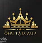 Vua mặt phố - bán nhà mặt phố la thành giá 19 tỷ, 28.5m x 5t, mt 3.08m