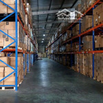 Dịch vụ cho thuê kho phân phối và kho vận trọn gói phù hợp với mọi nhu cầu cá nhân, doanh nghiệp.