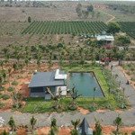 Bán 5ha (50.000m2) đất cln, ngay vòng xoay novaworld phan thiết, mặt tiền hàm kiệm 186m, qh ont