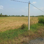 Bán lô 1000m2 đất ở tại nông thôn giá 1 tỷ