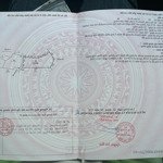 Chính chủ bán đất tcln, chuẩn bị lên thổ